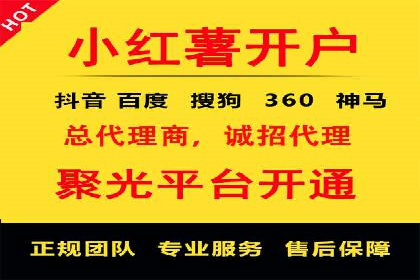 行业领先企业的SEM服务托管策略案例
